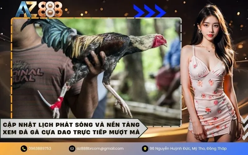 Cập nhật lịch phát sóng và nền tảng Xem đá gà cựa dao trực tiếp mượt mà