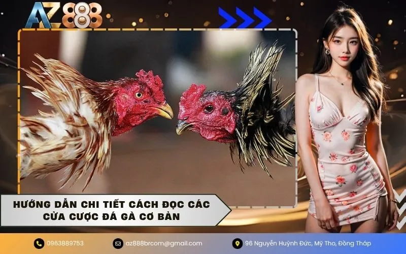 Hướng dẫn chi tiết cách đọc các cửa cược đá gà cơ bản