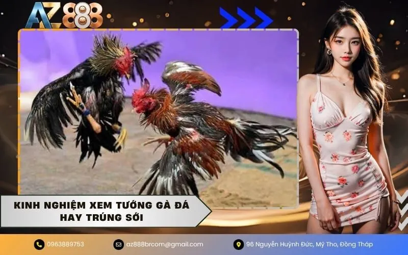 Kinh nghiệm xem tướng gà