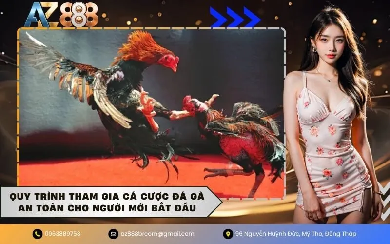 Quy trình tham gia cá cược đá gà an toàn cho người mới bắt đầu